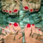 Fish Foot Spa