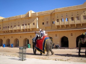 Amber Fort Jaipur